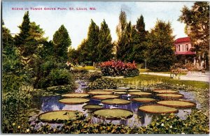 Scene in Tower Grove Park St. Louis MO Vintage Postcard D06