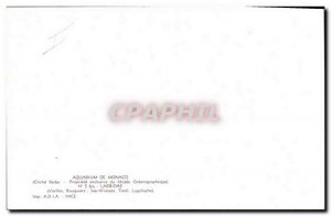 Postcard Old Fish Fish Aquarium Monaco Old Rouquiers