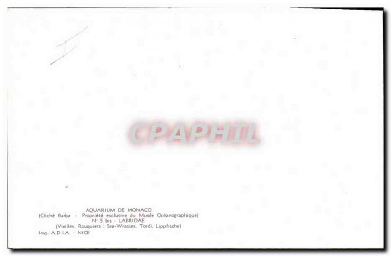 Postcard Old Fish Fish Aquarium Monaco Old Rouquiers