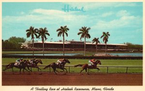 Vintage Postcard Thrilling Race At Hialeah Racecourse Miami Florida Gulf Stream