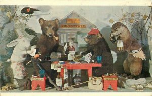 Artist impression Bear Beaver Rabbit Fishing Beer Postcard Gallaghers 12246