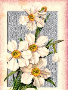 Vintage John Winsch  Dresden Silver Gilt, Beautiful Daisies Easter Postcard