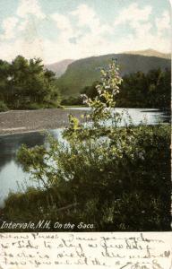 NH - Intervale. On The Saco River