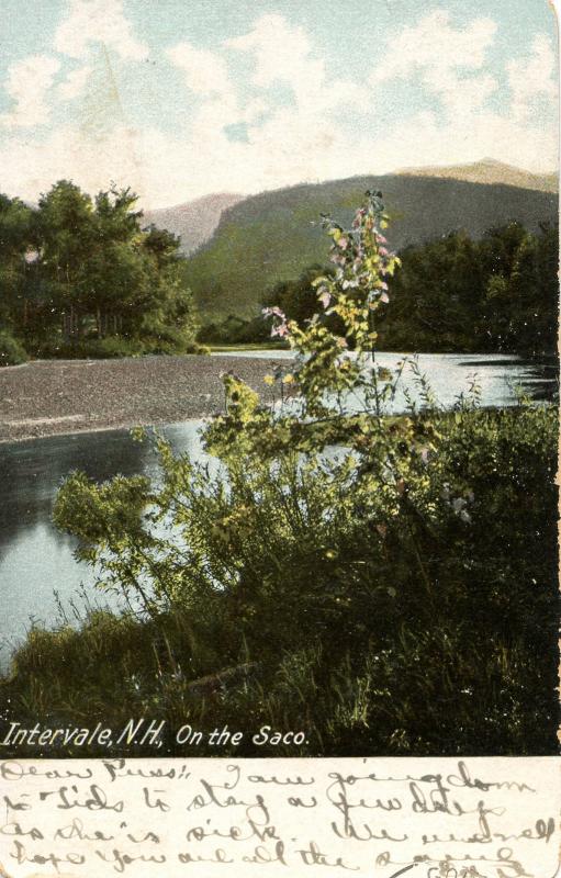 NH - Intervale. On The Saco River