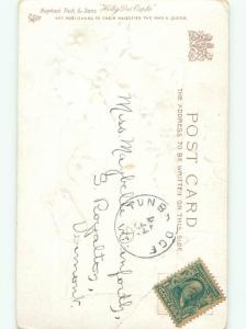 Divided-Back BIRDS SCENE Pretty Postcard AA8797