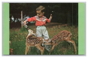 Rumford Point Maine Wild Animal Park & Campgrounds Postcard