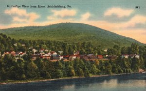 Vintage Postcard Bird's-Eye View From River Mountain Schickshinny Pennsylvania