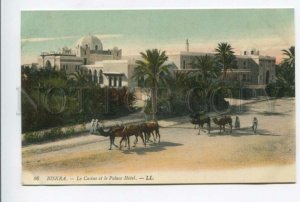 425816 ALGERIA BISKRA Casino & Palace Hotel Vintage LL postcard