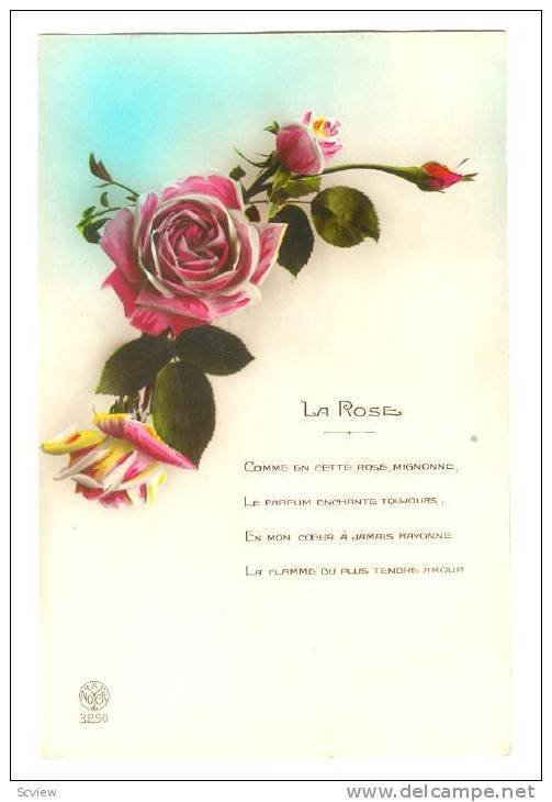 RP; La Rose , with poem , 00-10s