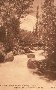 Vintage Postcard Mount Rainier From Kautz Fork Rainier National Park Edward H. M