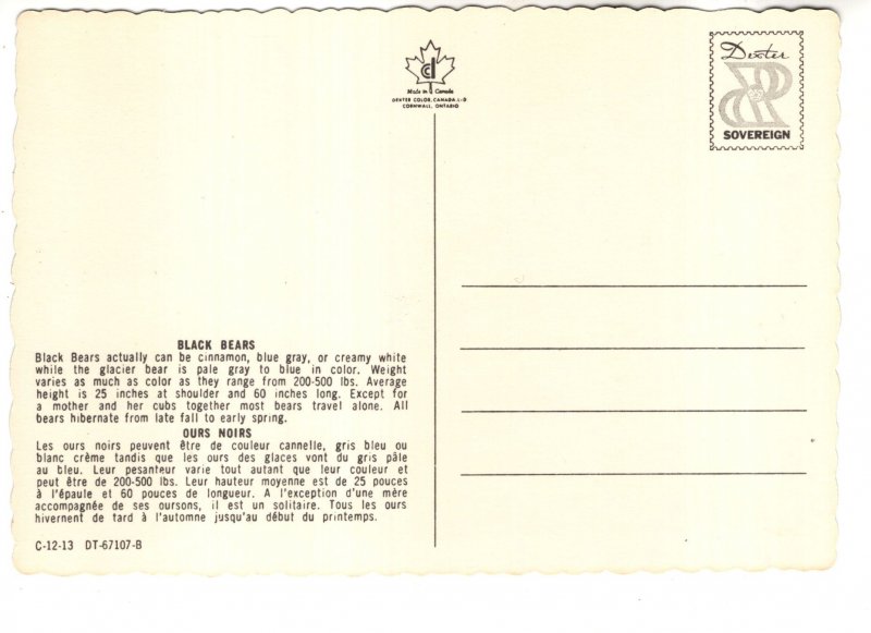 Black Bear, Peanut and Jelly Again