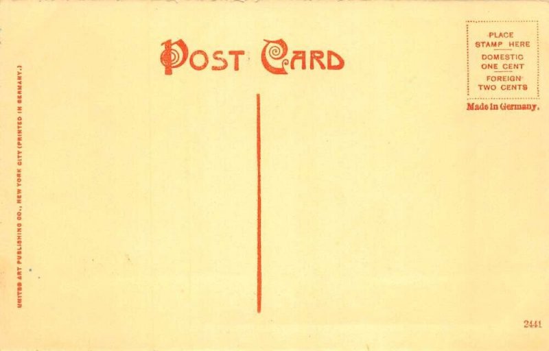 Hinesburg Vermont Friendship Avenue Street Scene Vintage Postcard AA73785