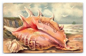 Greetings From Keytesville Mo. Missouri c1909 Postcard Sea Shells