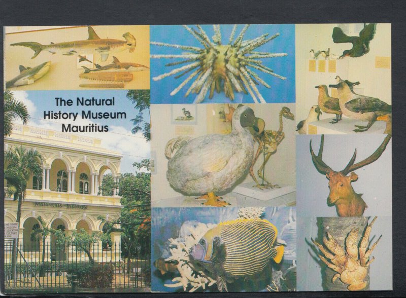 Mauritius Postcard - The Natural History Museum     T6988