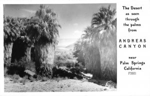 Palm Springs California 1940s RPPC Real Photo Postcard Andreas Canyon