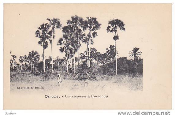 Les Coqueres A Cococodji, Dahomey, Africa, 1900-1910s