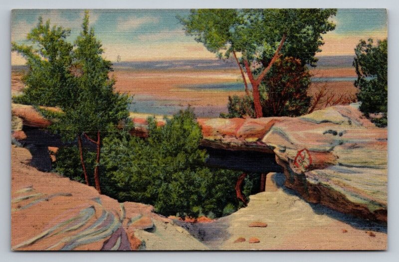 Natural Bridge Petrified Forest Arizona Vintage Unposted Linen Postcard