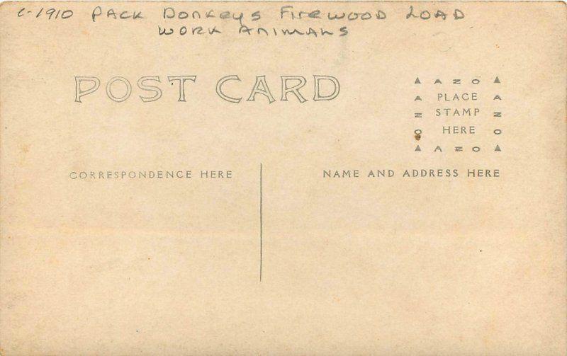 C-1910 Donkey's Firewood Load Work Animals RPPC real photo postcard 5748