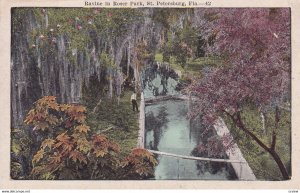 ST. PETERSBURG, Florida, 1900-1910s; Ravine In Roser Park