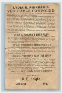 1880s Lydia E. Pinkham's Vegetable Compound Quack Medicine Lot Of 2 P229 