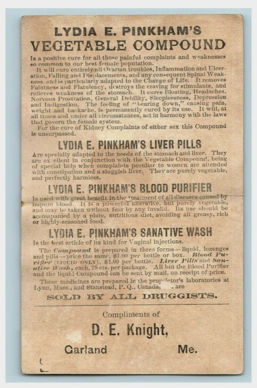 1880s Lydia E. Pinkham's Vegetable Compound Quack Medicine Lot Of 2 P229 