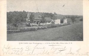 Mirror Lake New Hampshire Echo Farm Vintage Postcard AA56445
