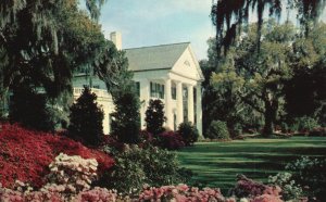 Vintage Postcard Historic Spots Orton Plantation Near Wilmington North Carolina