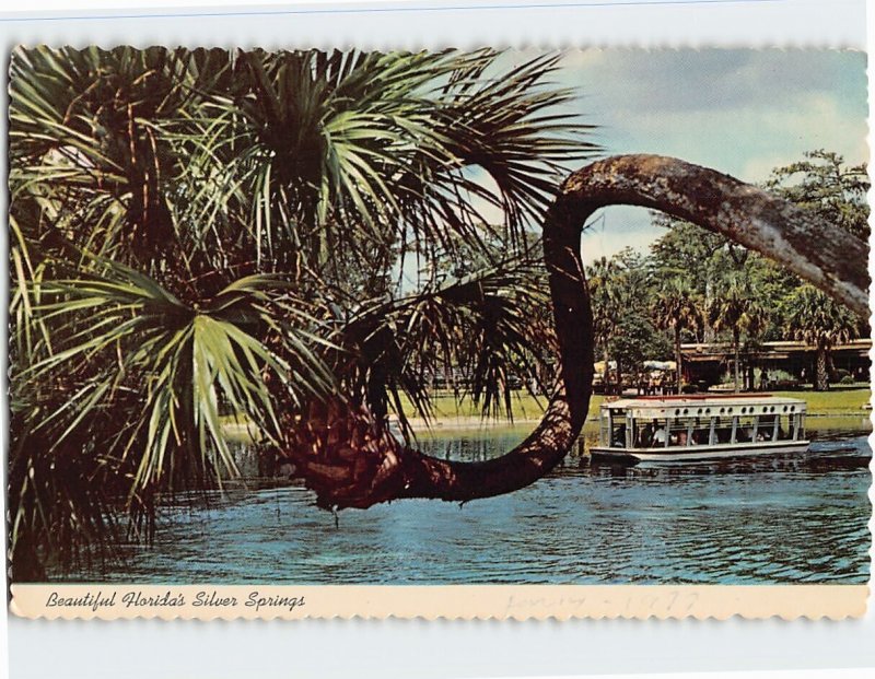 Postcard Beautiful Florida's Silver Springs, Florida