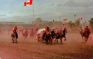 Canada Calgary Chuck Wagon Races At Calgary Stampede