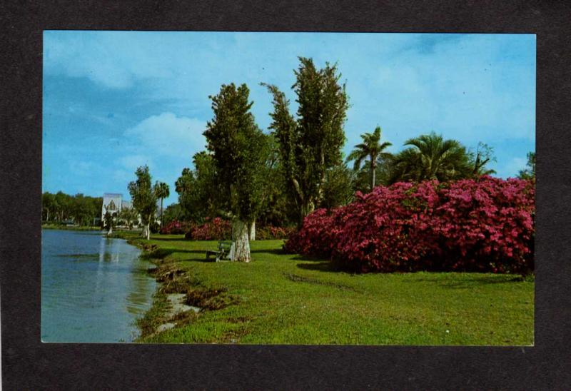 FL City view Orlando Florida Postcard Lake Eola Park Floral Flowers Azaleas Palm