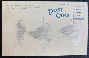 Mint Usa Picture Postcard Daytona Beach FL Gastes Automotive Race Course