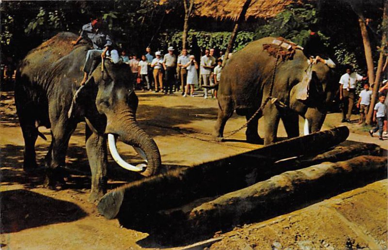 Thai Elephants pushing the Log with their trunks Elephant 1928 Missing Stamp 