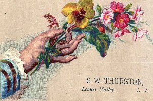 1880's Lot of 3 S. W. Thurston Long Island Soda Water Victorian Trade Cards P133