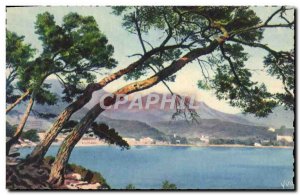 Old Postcard Landscape Menton Cap Martin