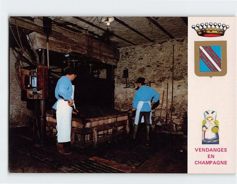 Postcard The press, Vendanges En Champagne, France