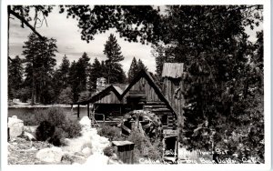 RPPC  BIG BEAR LAKE, CA  Bartlett's Cedar Lake MILL Trail of the Lonesome Pine