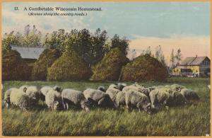 A comfortable Wisconsin Homestead (Scenes along country roads) 1912