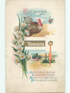 Divided-Back THANKSGIVING SCENE Great Postcard AA0656