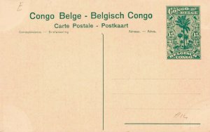Congo Belge Belgisch Congo Antilope Cheval Paardantilope 02.99