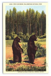 Twin Cub Bears Yellowstone National Park Wyoming Postcard