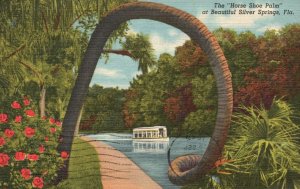 Vintage Postcard The Horse Shoe Palm Attraction Beautiful Silver Springs Florida