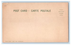 1904 General Grant St. Louis World's Fair Souvenir Cabin Unposted Postcard