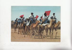 BF28447 morocco portes duu desert types camel   front/back image