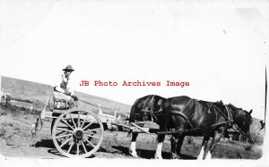 Unknown Location, RPPC, Farming Scene, Farmer on Horse Drawn Cart