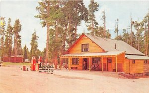 H8/ Dayton Wyoming Postcard Chrome Bear Lodge Resort Motel Gas Station