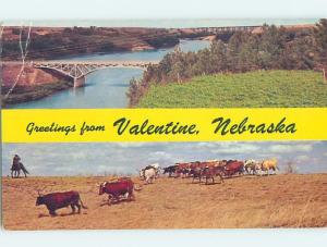 Pre-1980 BRIDGE SCENE Valentine Nebraska NE H8446