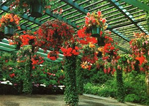 Begonia Bower,Butchart Gardens,Victoria,Bitish Colombia,CanadaUnion Station,S...