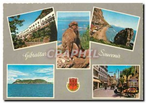 Modern Postcard Gibraltar British Crown Colony since 1794 Monkey