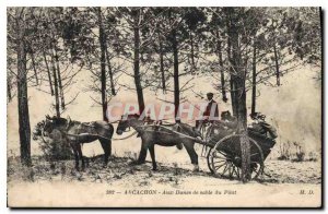 Old Postcard Arcachon In Sand Dunes du Pilat