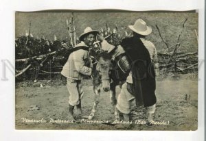 485461 Venezuela Country-men of Andes w/ Donkey Vintage photo postcard